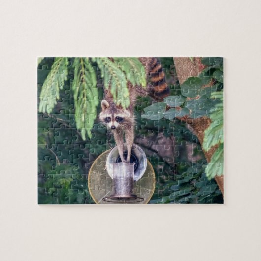Raccoon Raiding the Bird Feeder Legpuzzel (Horizontaal)