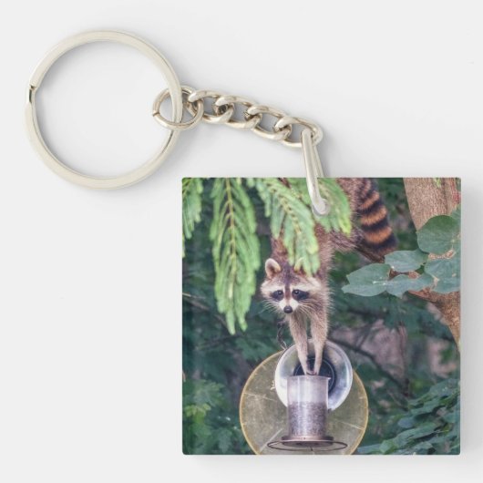 Raccoon Raiding the Bird Feeder Sleutelhanger (Voorkant)