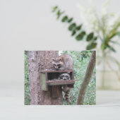 Raccoon Rascals Briefkaart (Staand voorkant)