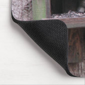 Raccoon Rascals Mousepad Muismat (Hoek)