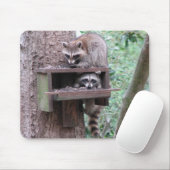Raccoon Rascals Mousepad Muismat (Met muis)