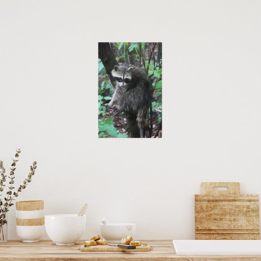 Raccoon Release Poster (Keuken)