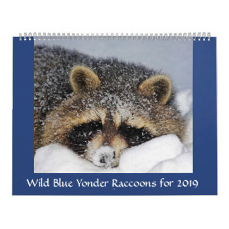 Raccoon Rescue and Release at Wild Blue Yonder 201 Kalender