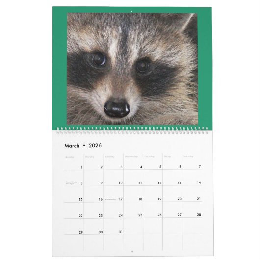 Raccoon Rescue and Release at Wild Blue Yonder 201 Kalender (Mar 2026)