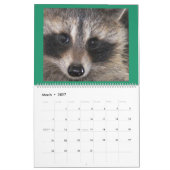 Raccoon Rescue and Release at Wild Blue Yonder 201 Kalender (Mar 2027)