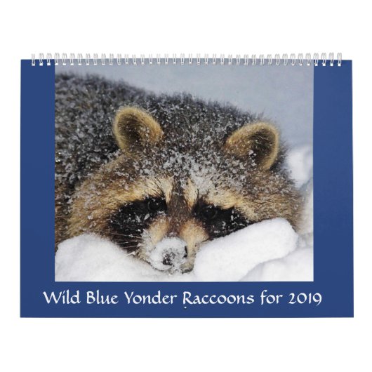 Raccoon Rescue and Release at Wild Blue Yonder 201 Kalender (Hoes)