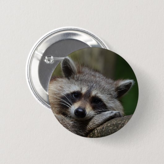 Raccoon Ronde Button 5,7 Cm (Voorkant /achterkant)