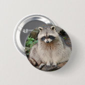 Raccoon Ronde Button 5,7 Cm (Voorkant /achterkant)