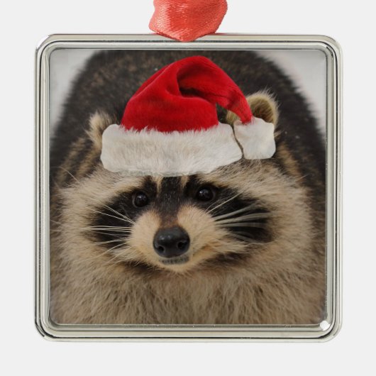Raccoon santa-versiering metalen ornament (Voorkant)