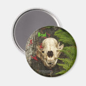 Raccoon schedel oud logboek met varens en rode Mon Magneet (Voorkant / Achterkant)