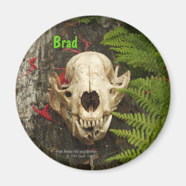 Raccoon schedel oud logboek met varens en rode Mon Magneet