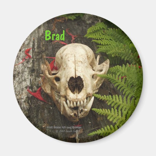 Raccoon schedel oud logboek met varens en rode Mon Magneet (Voorkant)