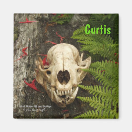 Raccoon schedel oud logboek met varens en rode Mon Magneet