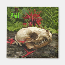 Raccoon schedel oud logboek met varens en rode Mon Magneet