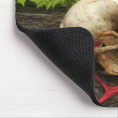 Raccoon schedel oud logboek met varens en rode Mon Muismat (Hoek)