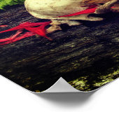 Raccoon schedel oud logboek met varens en rode Mon Poster (Hoek)