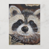 Raccoon schilderen briefkaart (Voorkant)