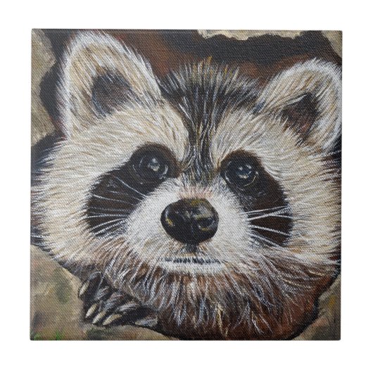 Raccoon schilderen tegeltje (Voorkant)