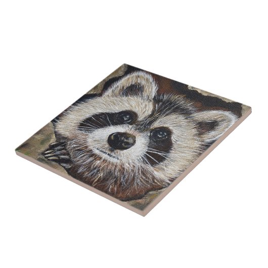 Raccoon schilderen tegeltje (Zijkant)