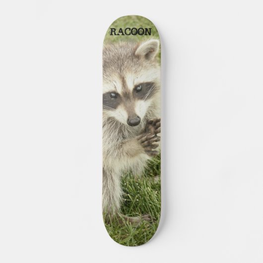 Raccoon Skateboard (Voorkant)