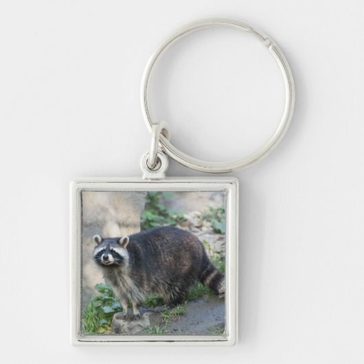 Raccoon Sleutelhanger (Voorkant)