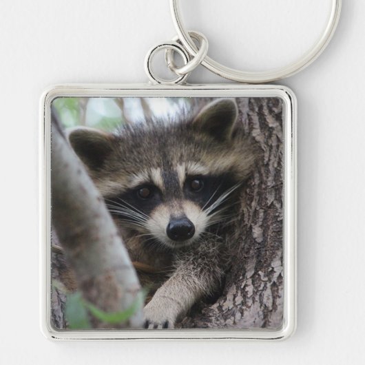 Raccoon Sleutelhanger (Voorkant)