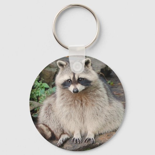 Raccoon Sleutelhanger (Voorkant)