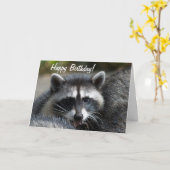 Raccoon Sluiten Kaart (Gele Bloem)