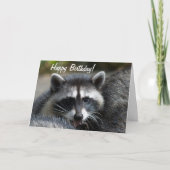 Raccoon Sluiten Kaart (Voorkant)