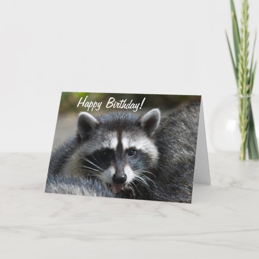 Raccoon Sluiten Kaart (Voorkant)