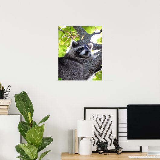 Raccoon Sluiten Poster (Thuiskantoor)