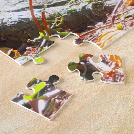 Raccoon Stanley Park Vancouver. Legpuzzel (Zijkant)