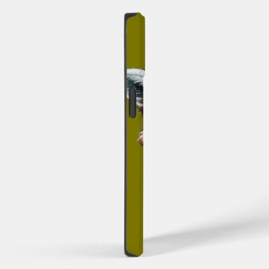 Raccoon Staring van Tree iPhone 14 Hoesje (Achterkant / Rechts)