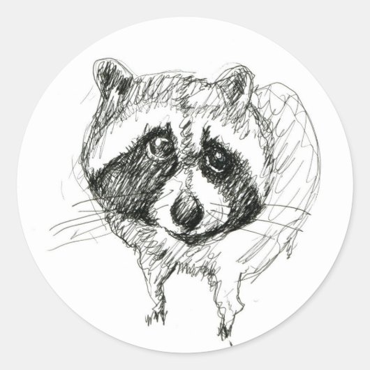 Raccoon Sticker (Voorkant)