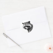 Raccoon sticker (Envelop)