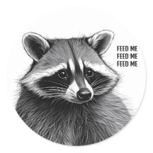 Raccoon Sticker