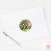 Raccoon Stickers (Envelop)