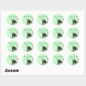 Raccoon Stickers (Vel)