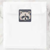 Raccoon stickers (Tas)