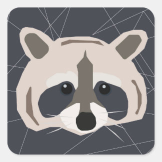 Raccoon stickers