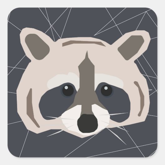 Raccoon stickers (Voorkant)