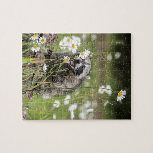 Raccoon Surprise Legpuzzel (Horizontaal)