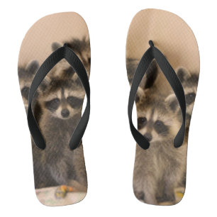 Raccoon teenslippers. teenslippers