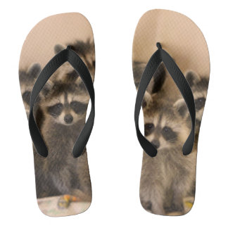 Raccoon teenslippers. teenslippers