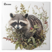 Raccoon Tegeltje (Voorkant)