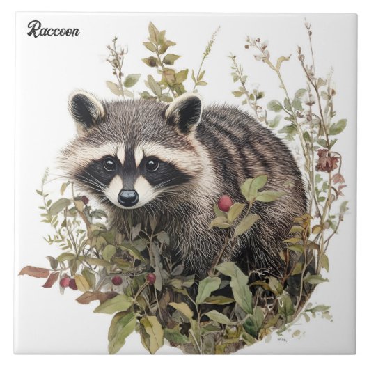 Raccoon Tegeltje (Voorkant)