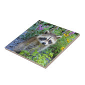 Raccoon Tegeltje (Zijkant)