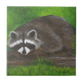 Raccoon Tegeltje (Voorkant)