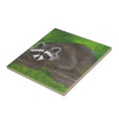 Raccoon Tegeltje (Zijkant)