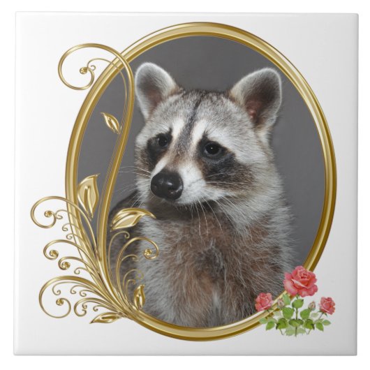 Raccoon Tile Tegeltje (Voorkant)